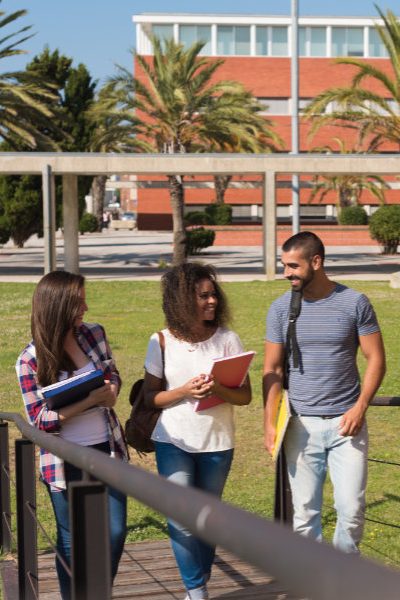 Group of students in Campus Group of students sitting on school campus